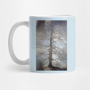 Albero in controluce, 2015 Mug